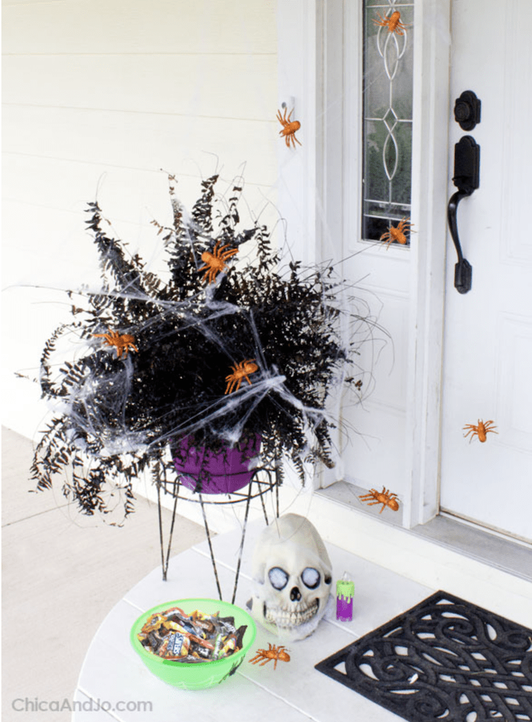 budget Halloween decor from a dead house plant