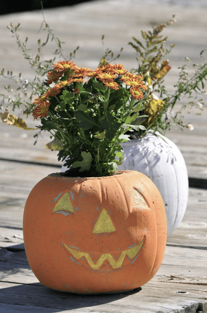 budget Halloween decor cement pumpkins