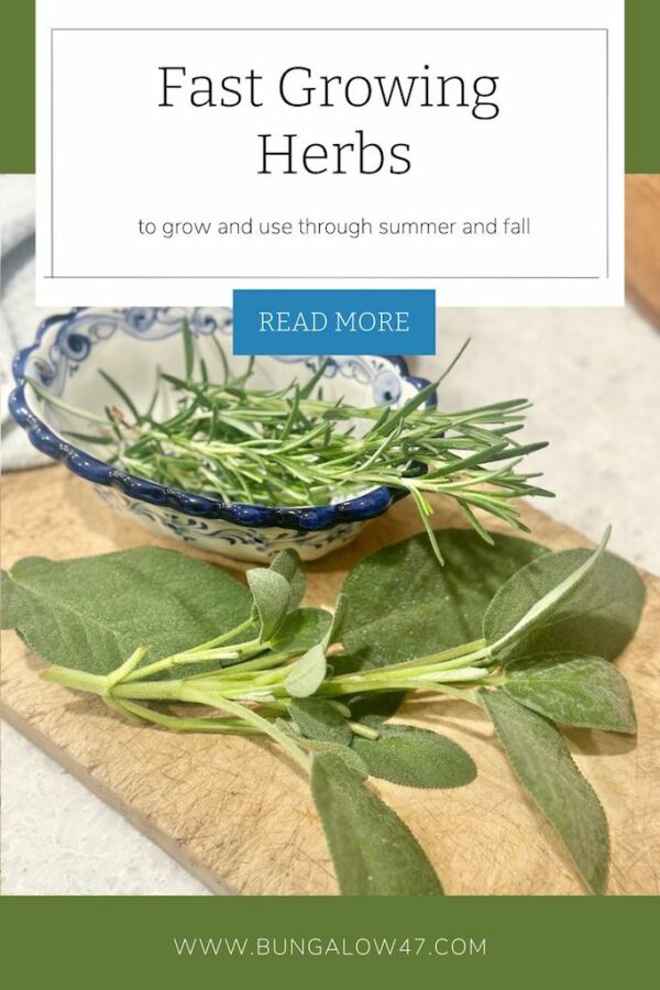 Fast Growing Herbs to Use Through Summer and Fall