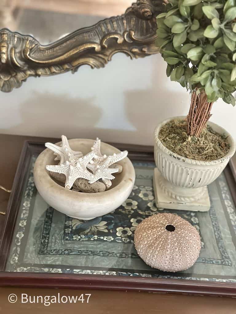 sea urchin, starfish in a marble bowl, all on a table for decor