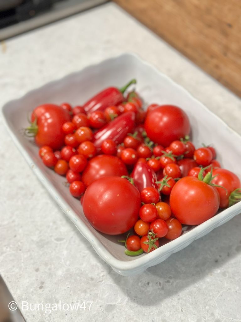 tomatoes and peppers in a white ironstone bowl